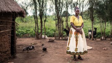 Ugandalainen Sylvia Alinitwe on ostanut säästöryhmän lainalla sikoja, vuohia ja kanoja.