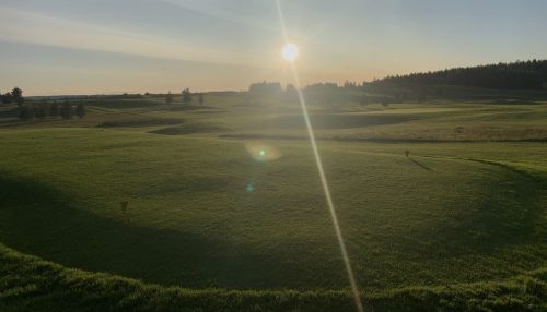 Auringon kajo vihreällä golfkentällä.
