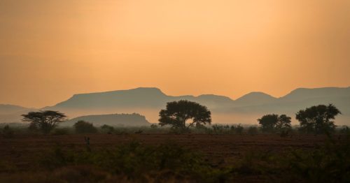 Auringonnousu savannilla